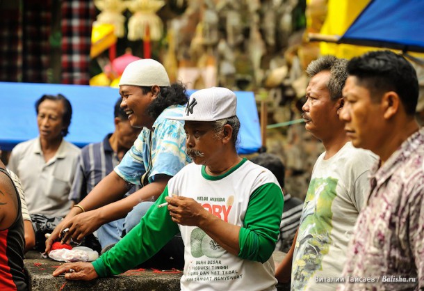 Петушиный бой на Бали - напряженные зрители