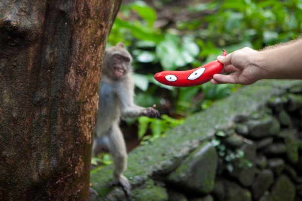 Как правильно затроллить обезьян в Monkey forest