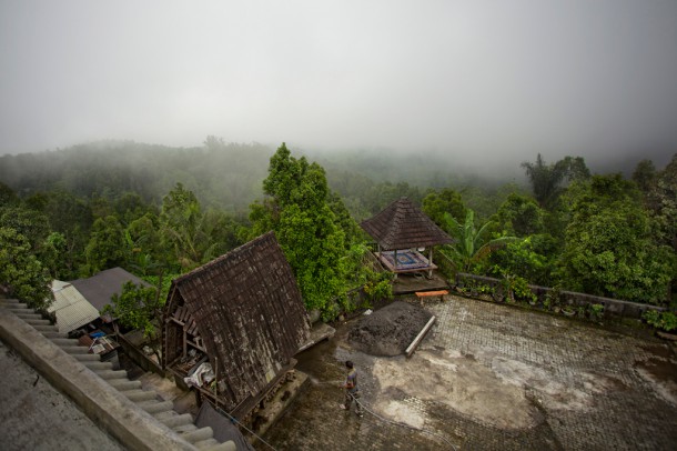 кофейные плантации Бали